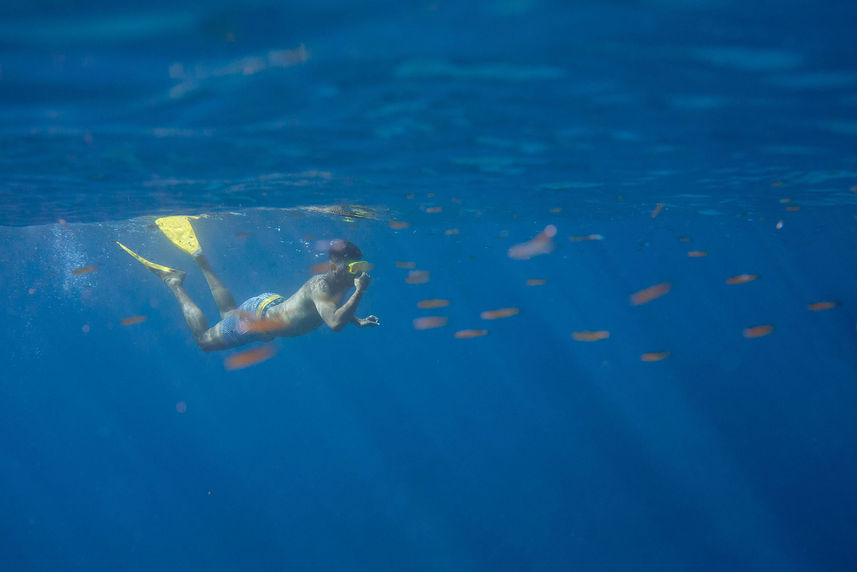 Snorkelling  - Reef Endeavour