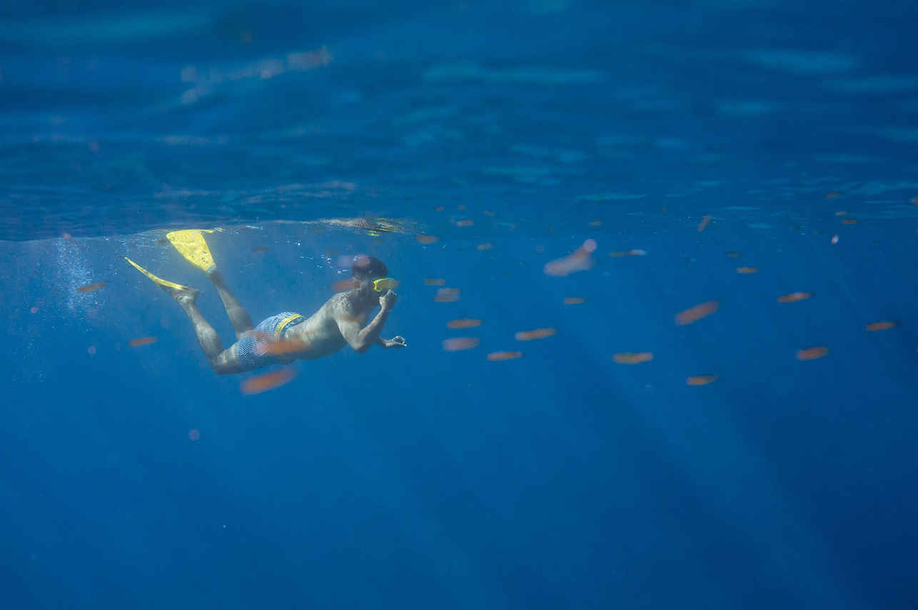 Snorkelling - Reef Endeavour