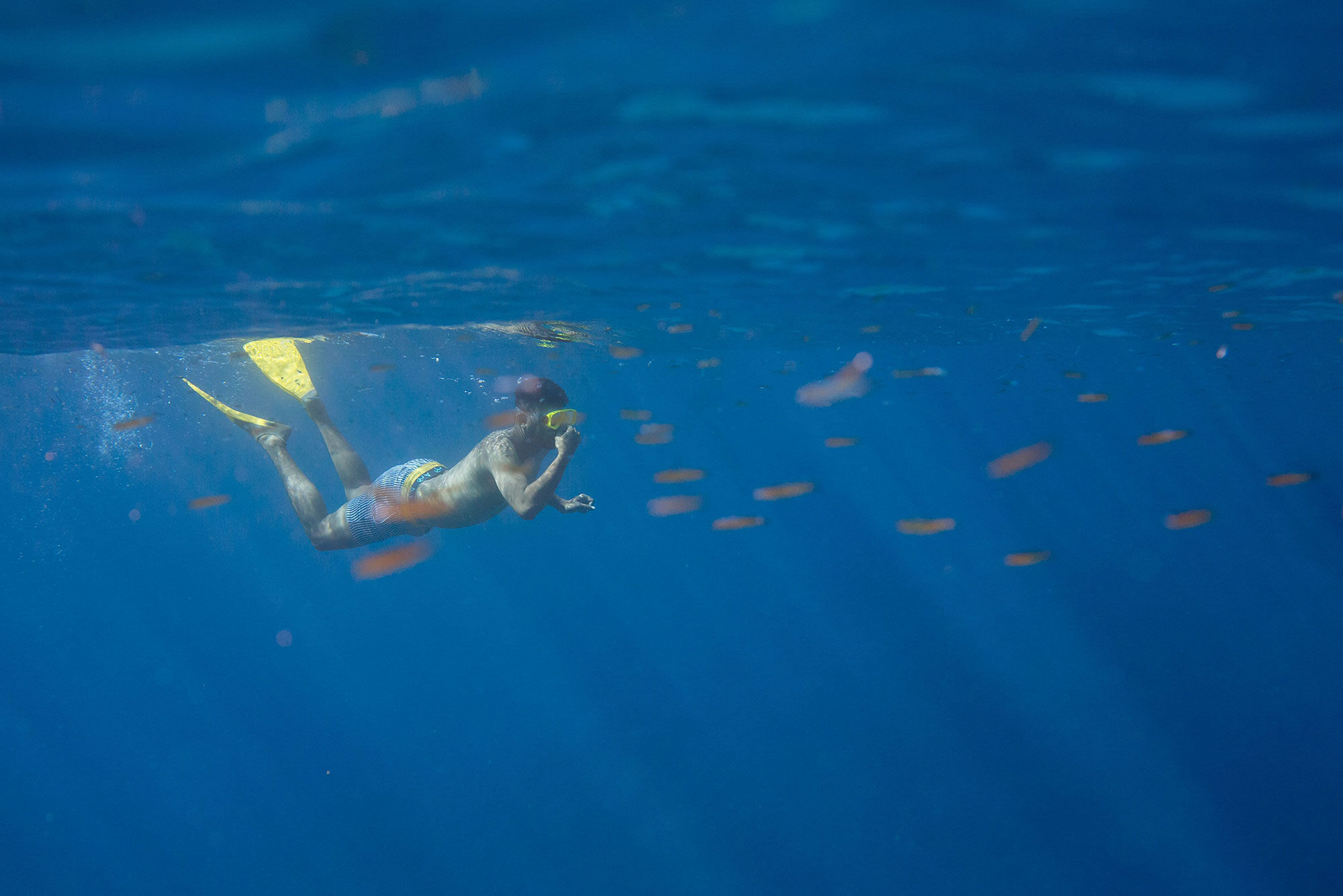 Snorkelling - Reef Endeavour