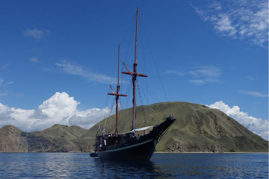 Jaya Liveaboard Indonesia