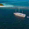 Nautilus Two