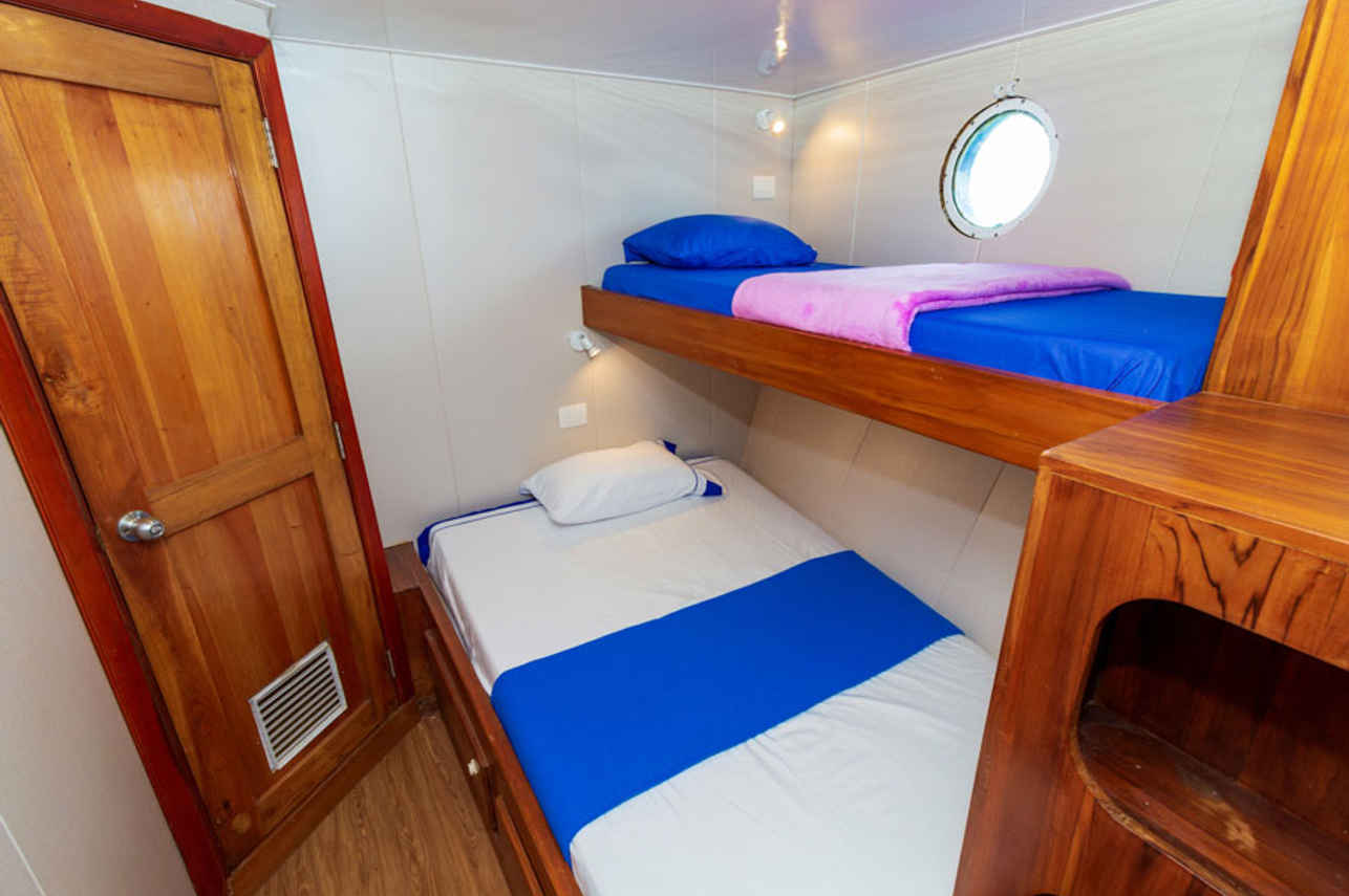 Standard Bunk Cabin - Danubio Azul