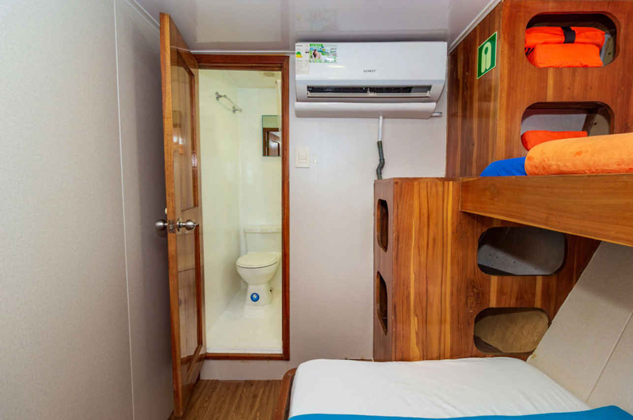 Standard Bunk Cabin - Danubio Azul