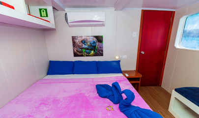 The Cabins