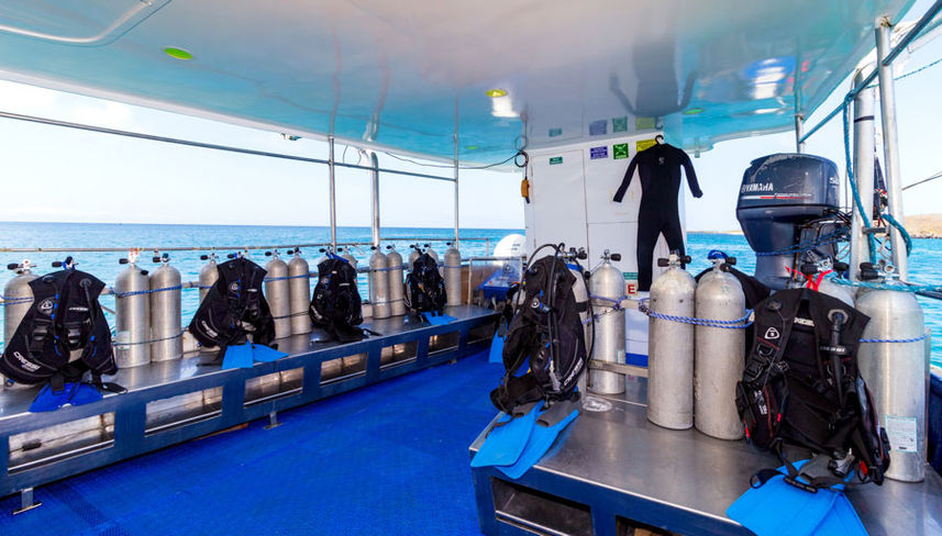 Dive deck - Danubio Azul