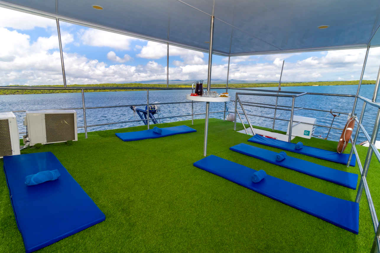 Terrasse - Danubio Azul
