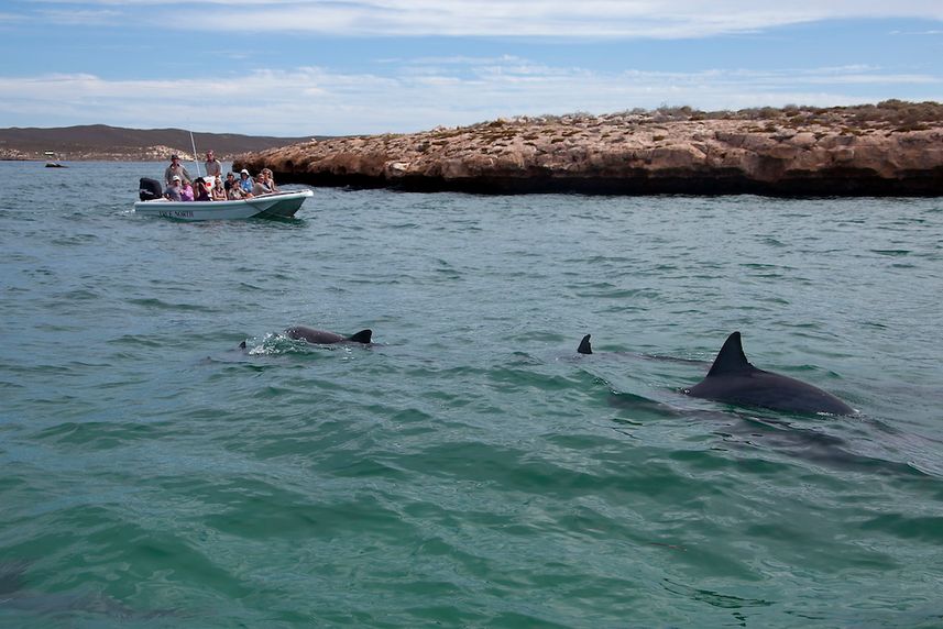 Activity - True North Australia