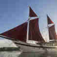 Tiare Cruise