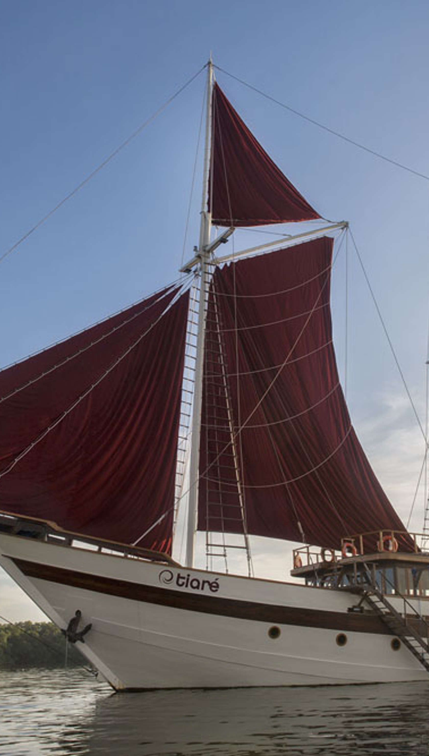Tiare Cruise
