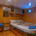 Double Cabin - Freedom VIII