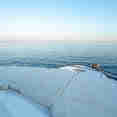 Sun Deck - Freedom VIII
