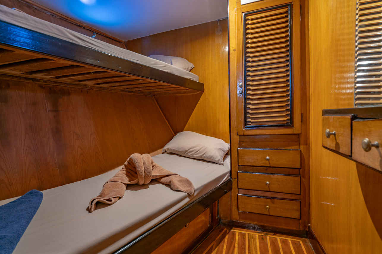 #bunkbedcabin - Freedom VIII