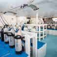 Dive deck - Royal Evolution