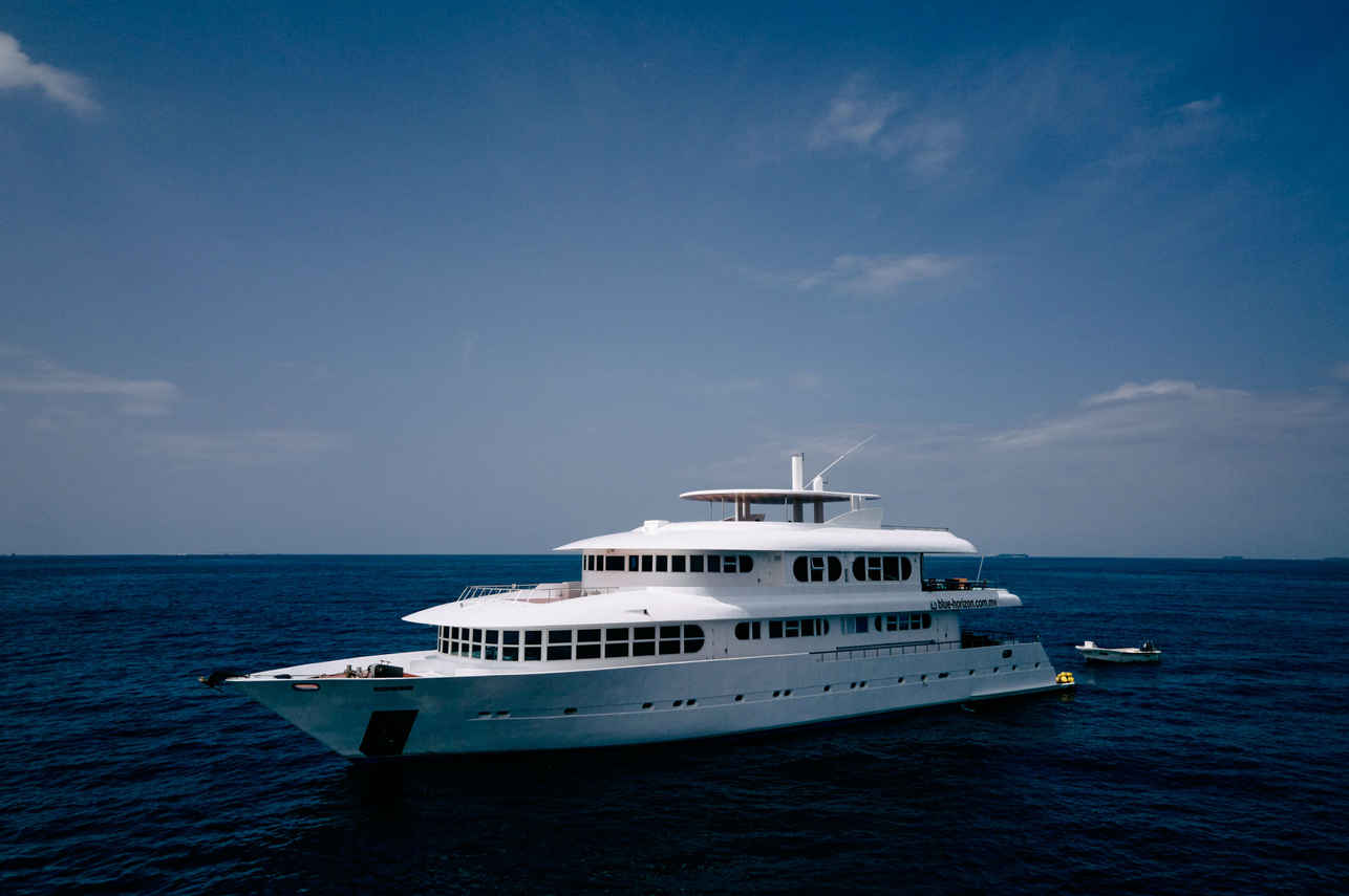 Horizon III