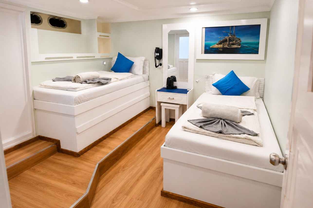 Twin Cabin - Horizon 3