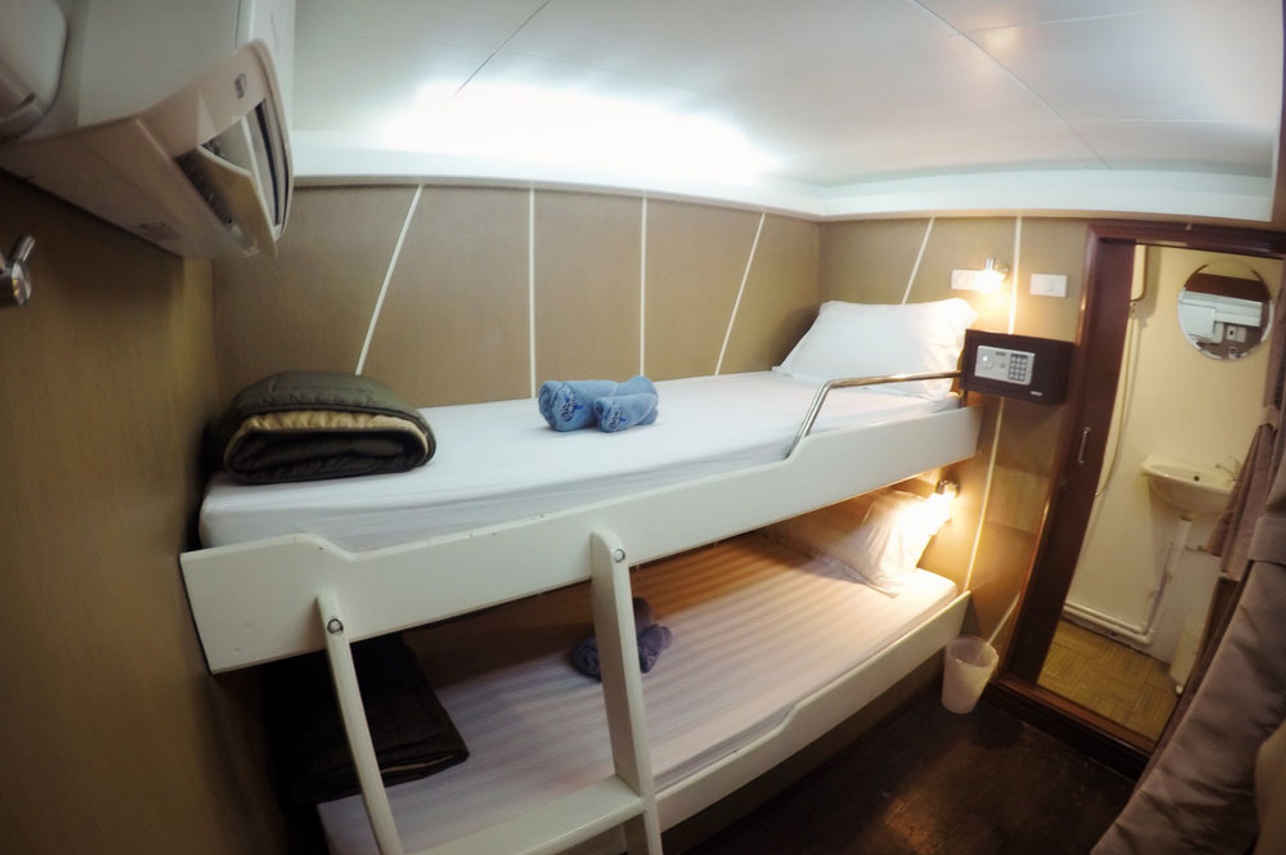 Standard Cabin - Gentle Giant