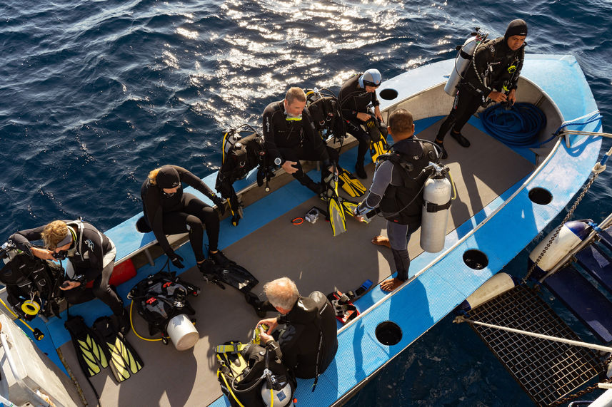 Diving Dhoni - Seahorse