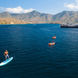 Paddleboarding - Seahorse