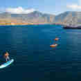 Stand Up Paddle - Seahorse
