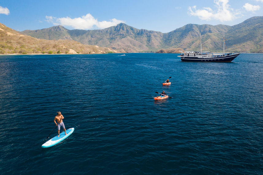 Paddleboarding - Seahorse