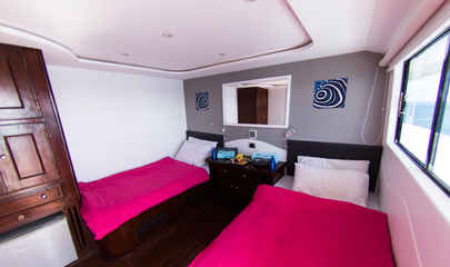 Standard Upper Deck