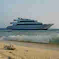 Oceanos Safari