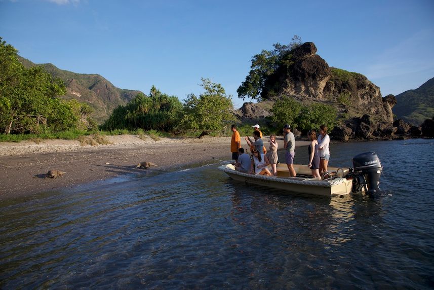 Visiting Komodo Dragons