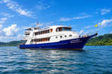 Manta Queen 8