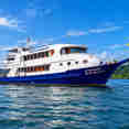 Manta Queen 8