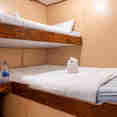 Twin Non-Ensuite Cabin