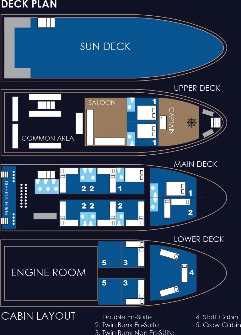 disposizione del ponte