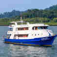 Manta Queen 8