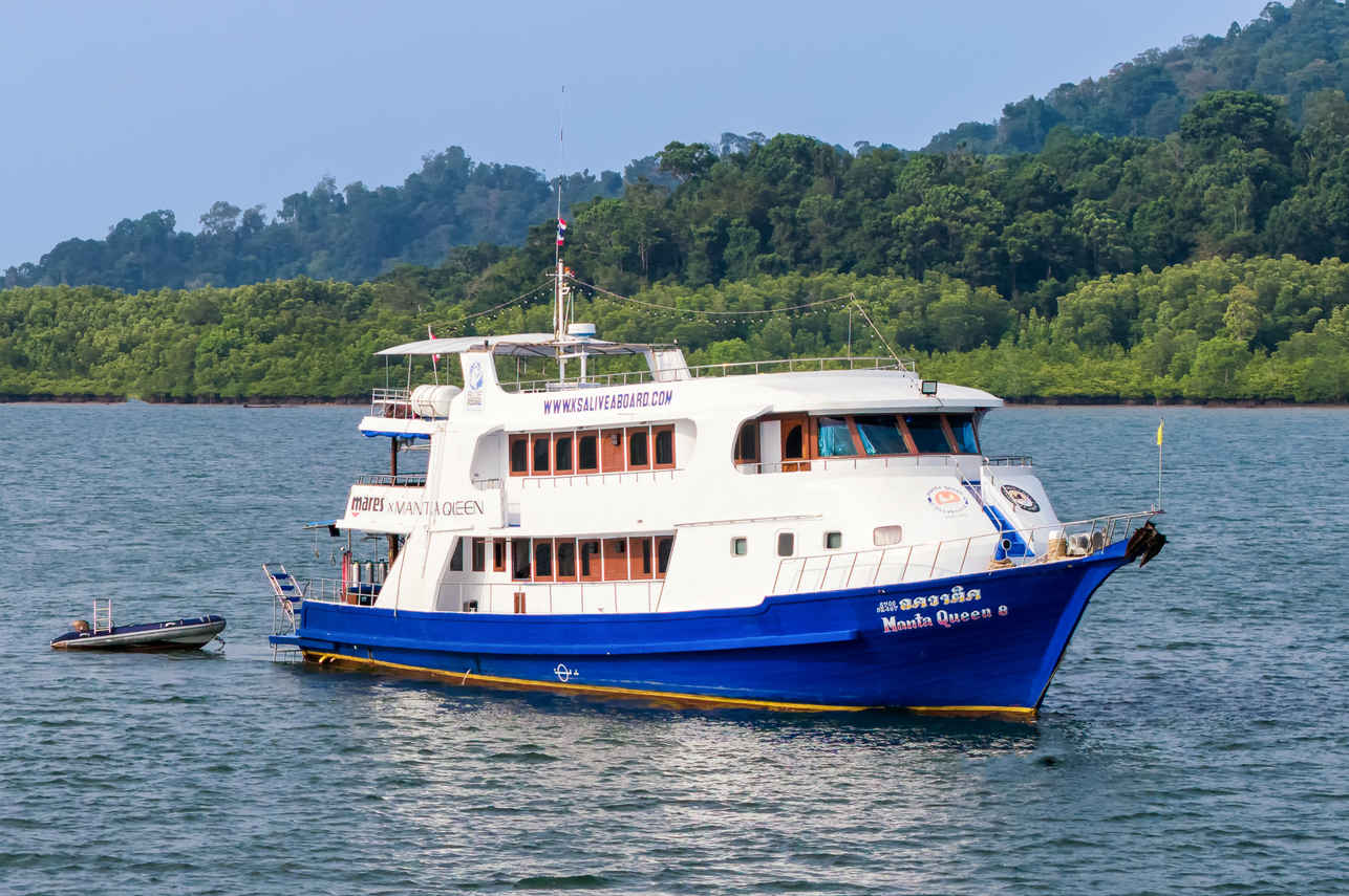 Manta Queen 8