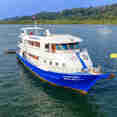 Manta Queen 8