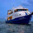 Manta Queen 8