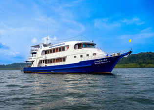 Manta Queen 8