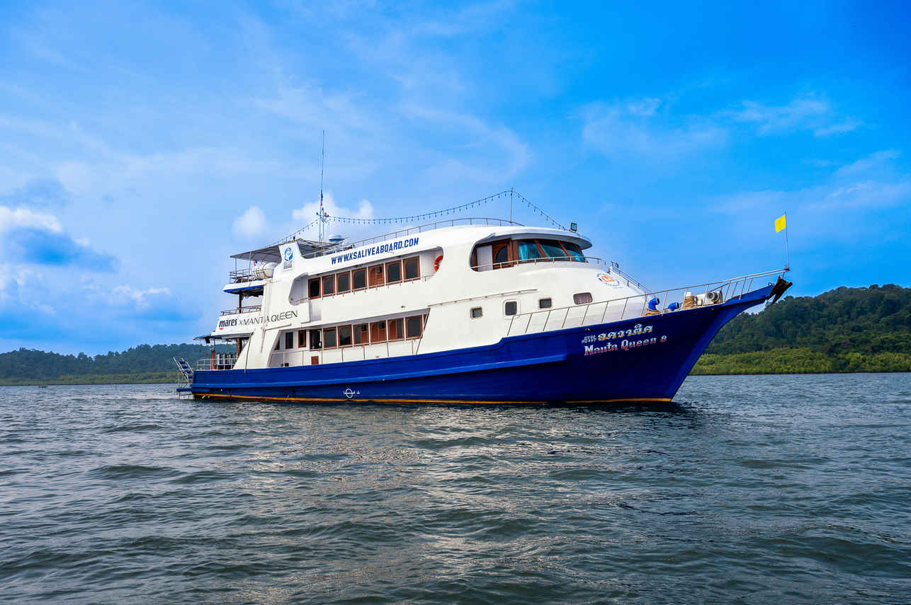 Manta Queen 8