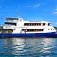 Manta Queen 8