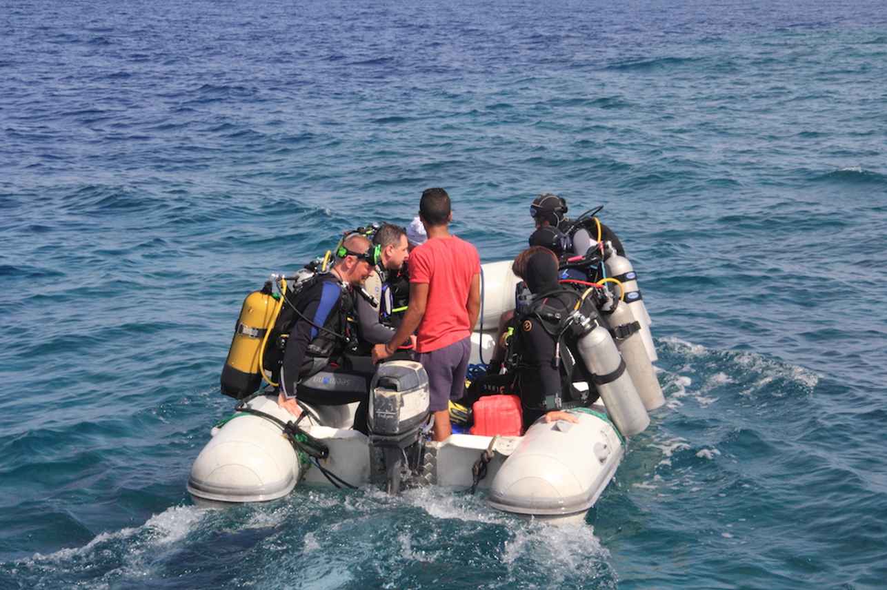 Dive Tender