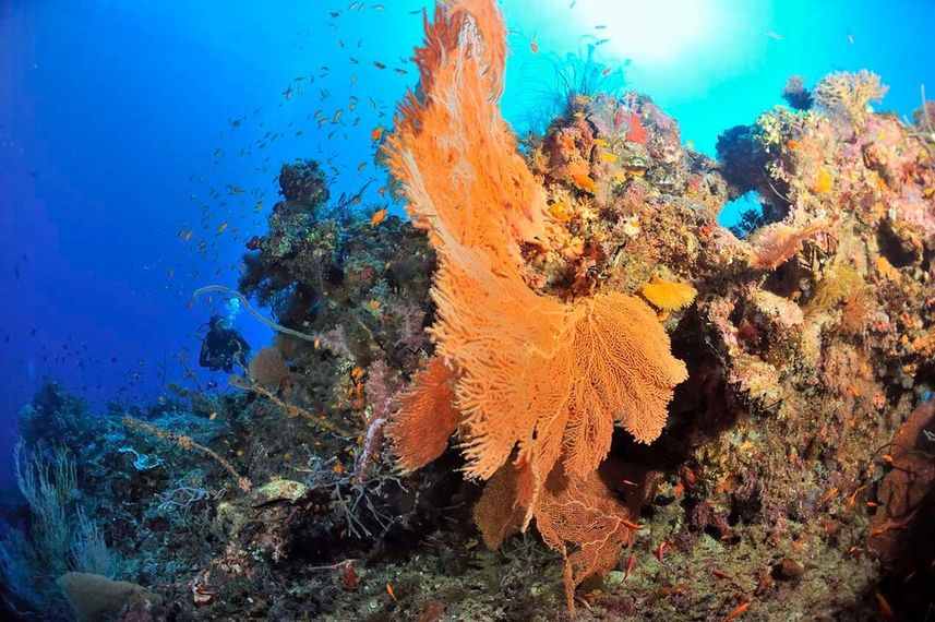 Stunning reefs in Madagascar