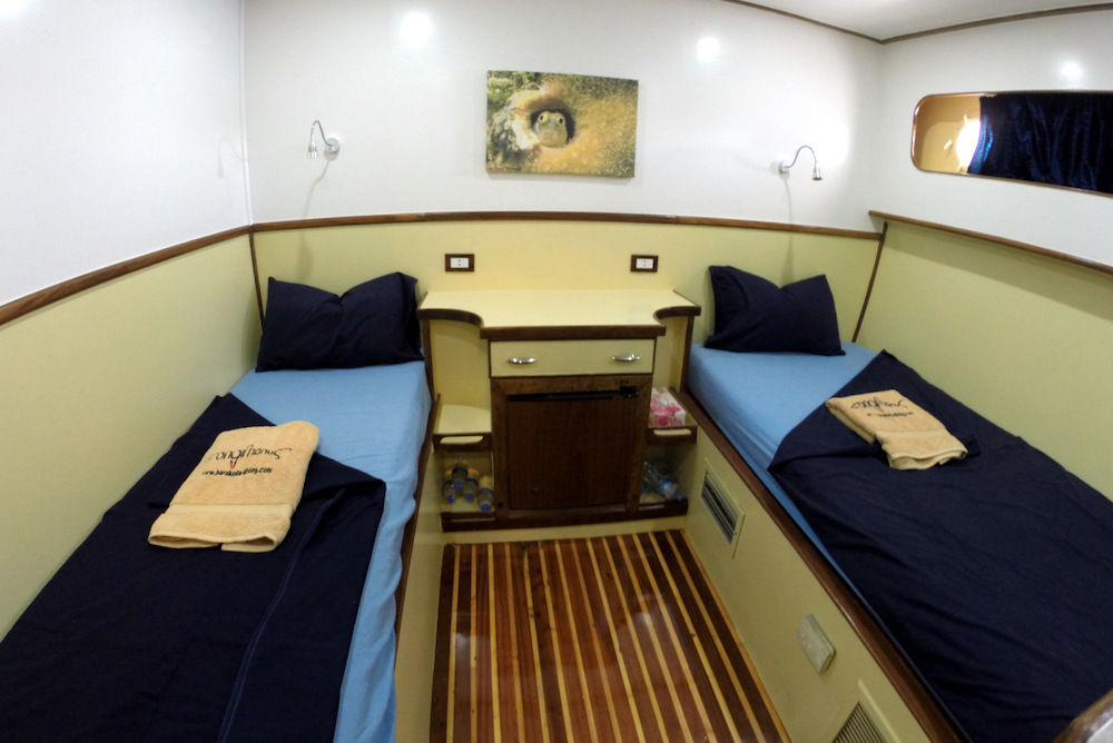 Standard Cabin - Longimanus