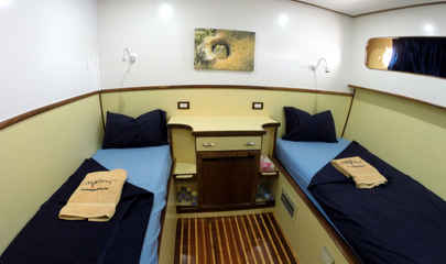 Standard Cabins