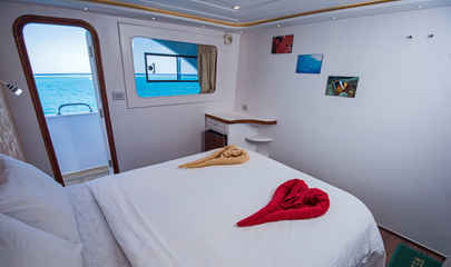 Suite Cabins