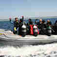 Zodiac -  - Longimanus Egypt Liveaboard