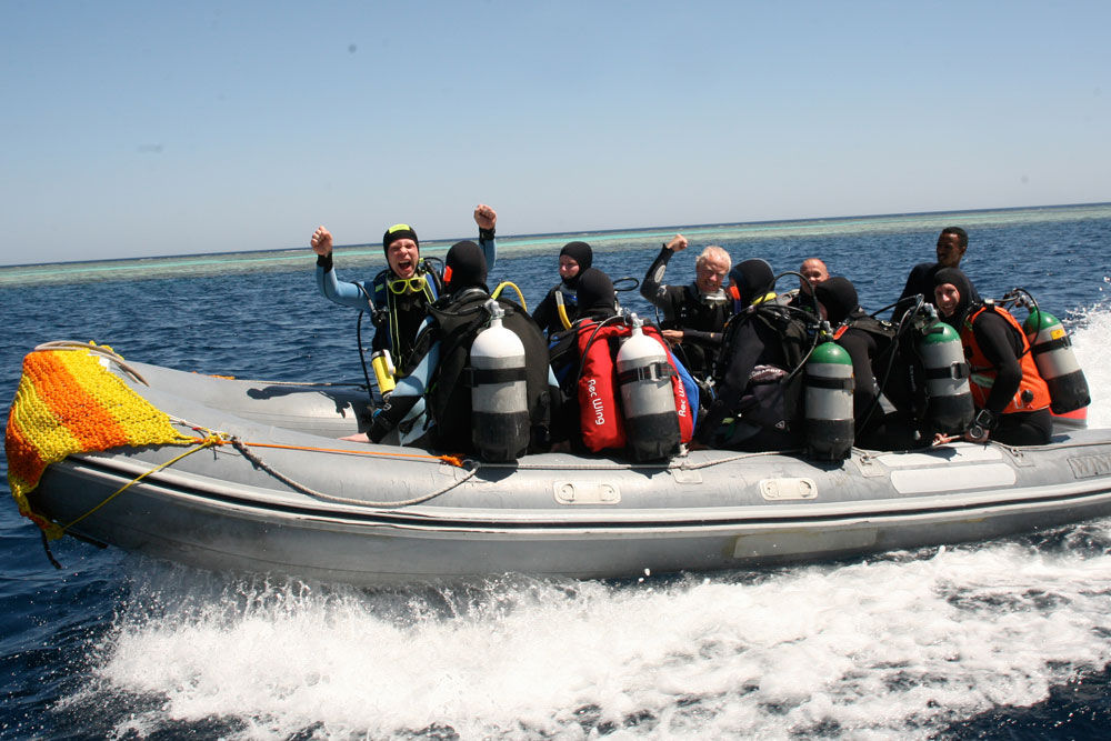 Zodiac -  - Longimanus Egypt Liveaboard