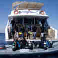 Diving - Longimanus Egypt Liveaboard