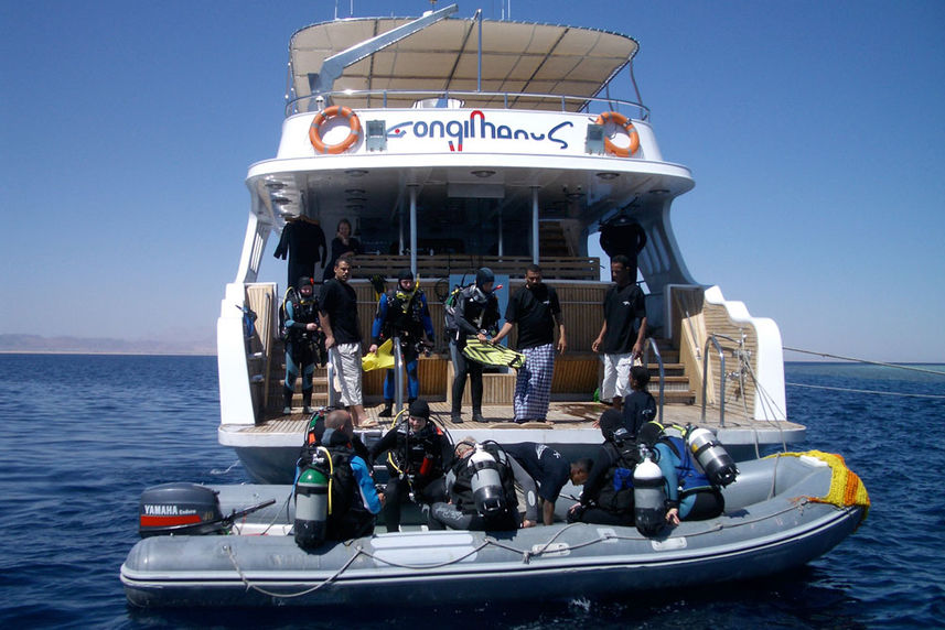 Diving - Longimanus Egypt Liveaboard