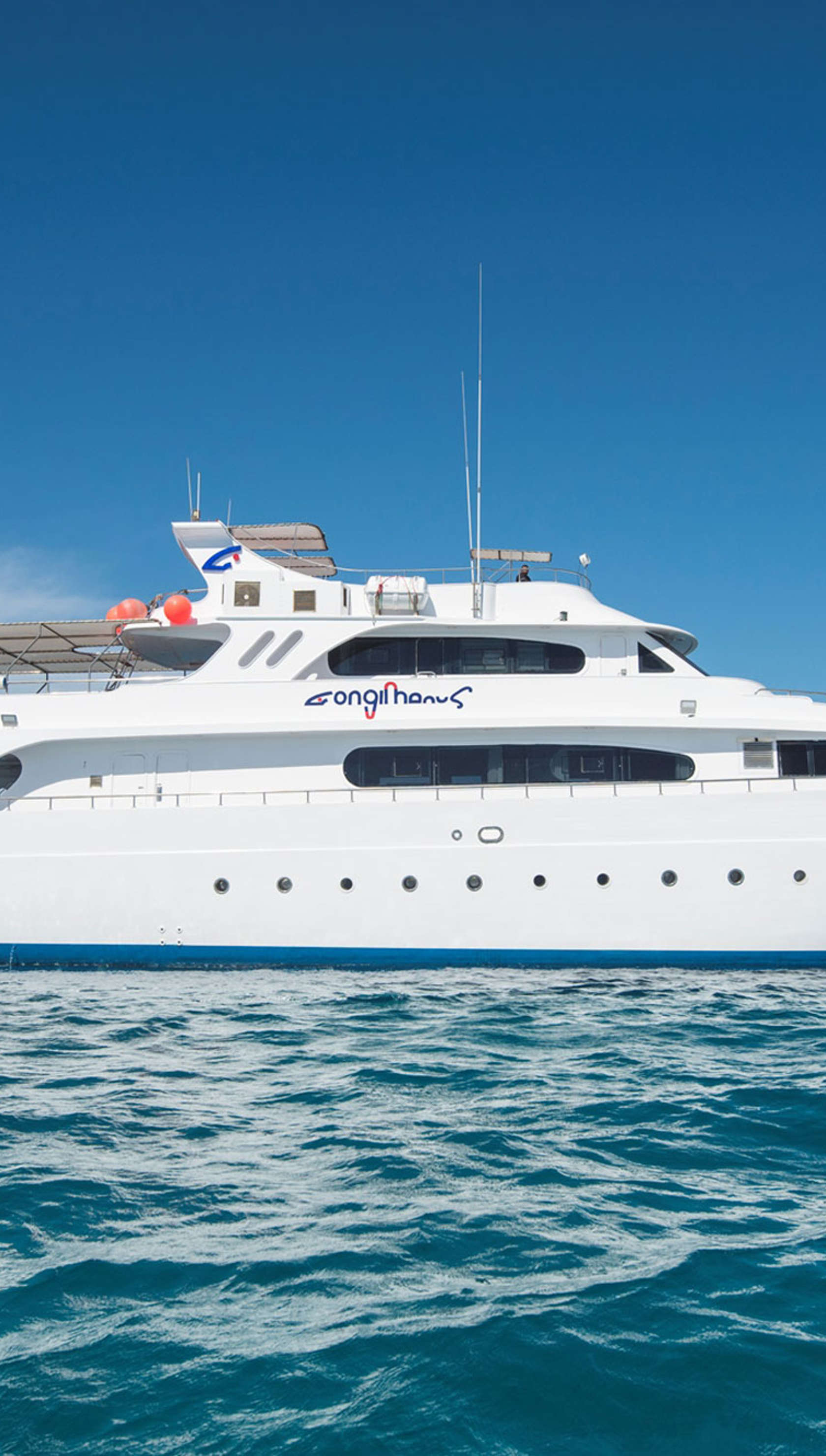 Longimanus