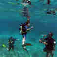 Diving in Thailand - Oktavia Thailand