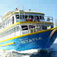 Oktavia Thailand